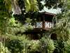 Acajou Hotel - Nature 